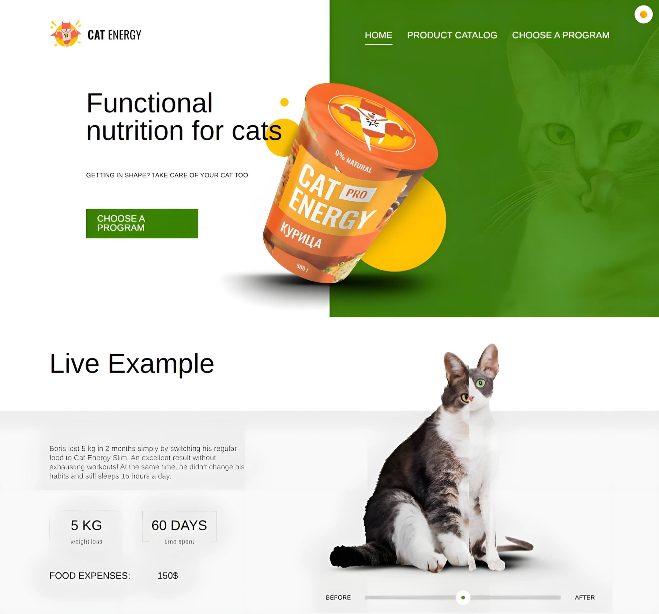 Cat Energy application interface preview